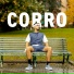 vario