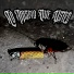 IN$AN, DOSM