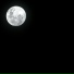 swshnight