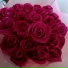 Rollor