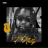 T.Natty, Addis Records