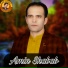 Amin Shabab