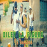 Diley la figura