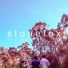 Stonefox