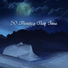 Natural Sleep Aid Ensemble, Trouble Sleeping Club