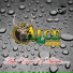 Alce Norteno