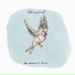 Chassepareil