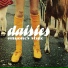 Daisies