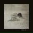 Penelope Trappes