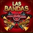 Banda Rancho Viejo