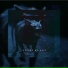 rasza beats