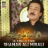Shaman Ali Mirali