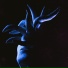 Ibex