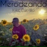 Kiko Carrillo