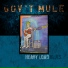 Gov t Mule