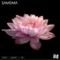 SAMDMA