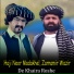 Haji Noor Madakhel, Zarnamir Wazir