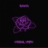 SVDNVSS