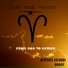 Aura Tribe Project