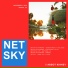 Netsky