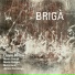 Flavio Boltro, BRIGÀ