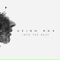 Avion Roe