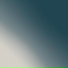 nn19