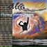 Flying Metal Piece