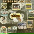 Tambora Ritmo Express