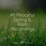 Zarobi, Natural Sample Makers, Sleeping Music