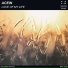 Acein