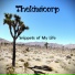 Thekiwicorp