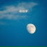 柒琴留韵