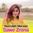 Nasrullah Marwat
