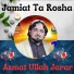 Asmat Ullah Jarar