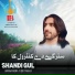Shandi Gul