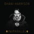Dhani Harrison (In Parallel)