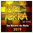 Forró Mel Com Terra