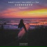 Darude & Ashley Wallbridge feat. Foux