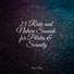Echoes of Nature, Rain Spa, Musica Reiki