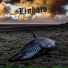 Linhold