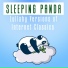 Sleeping Panda