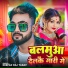 Deepak Raj Yadav