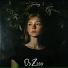 OzZzzz