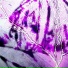 text1lee