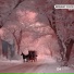 Bunik