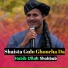 Habib Ullah Shahbab