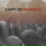 Campfire