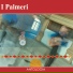 Francesco Palmeri