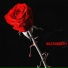HYPE MUSIC, CODE REDD